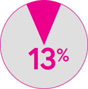 A pie chart showing a wedge noted as 13%
