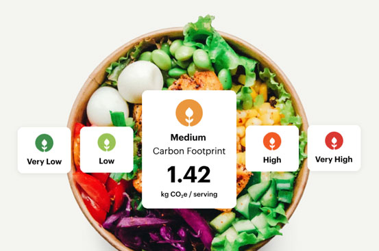 Image of a bowl of healthy food with example Carbon Footprint labelling overlaid